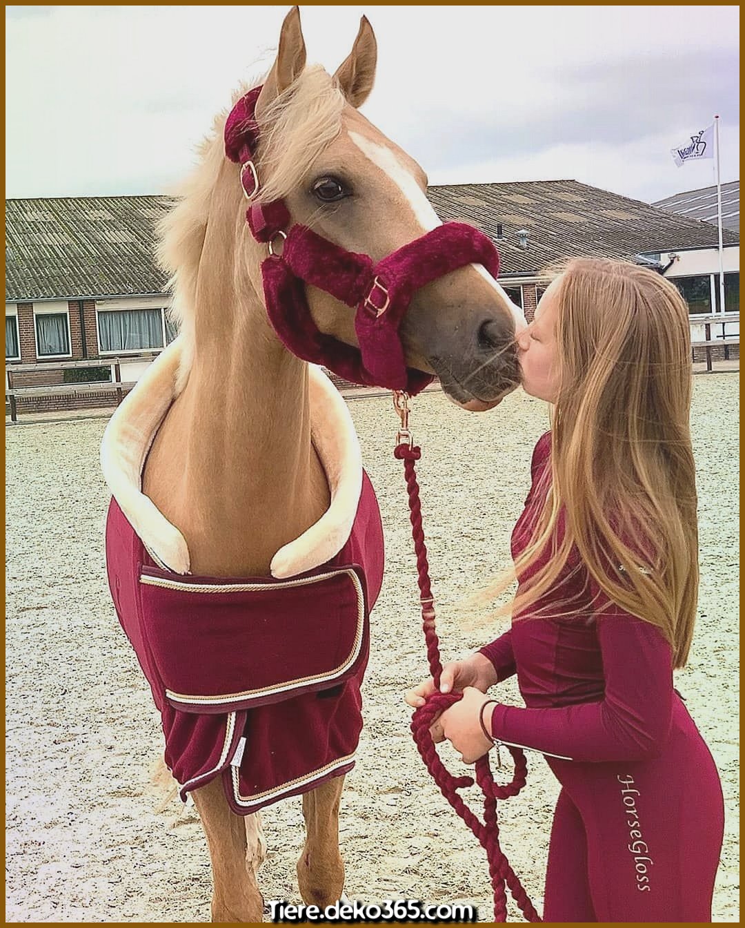Horses Fan🐴 on Instagram: “Double tap for kiss💋🐴 Follow 👉Connie Ga...